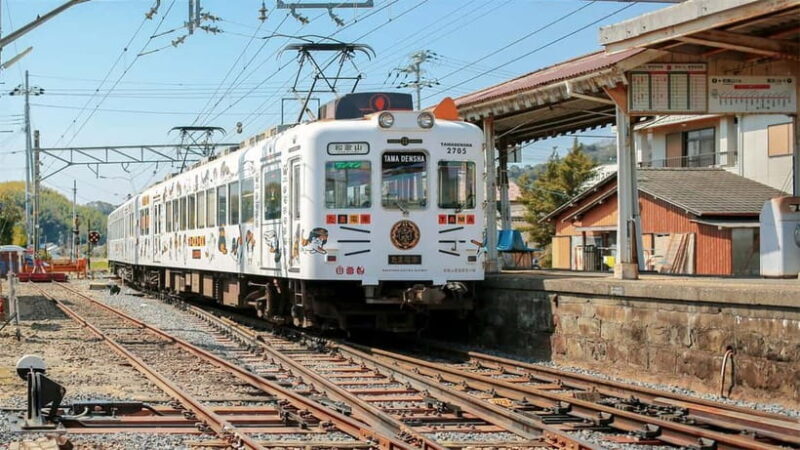 Osaka: Wakayama Cat Train, Seafood market, Hot Springs Tour - Key Points