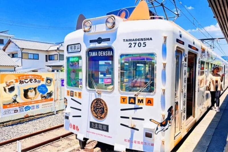 Osaka: Wakayama Cat Train, Seafood market, Hot Springs Tour - An In-Depth Look at the Tour Experience