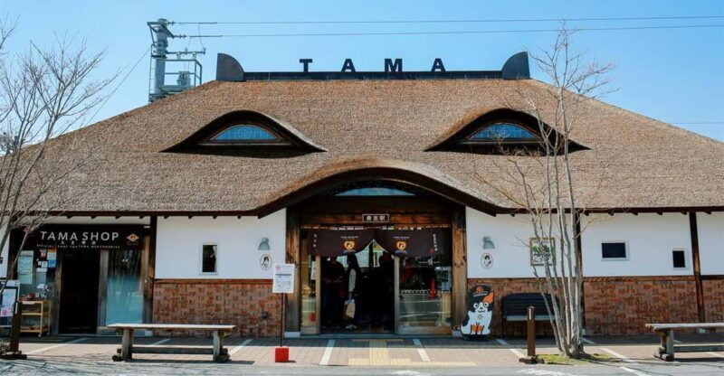osaka-wakayama-kishi-station-shirahama-and-coast-day-tour