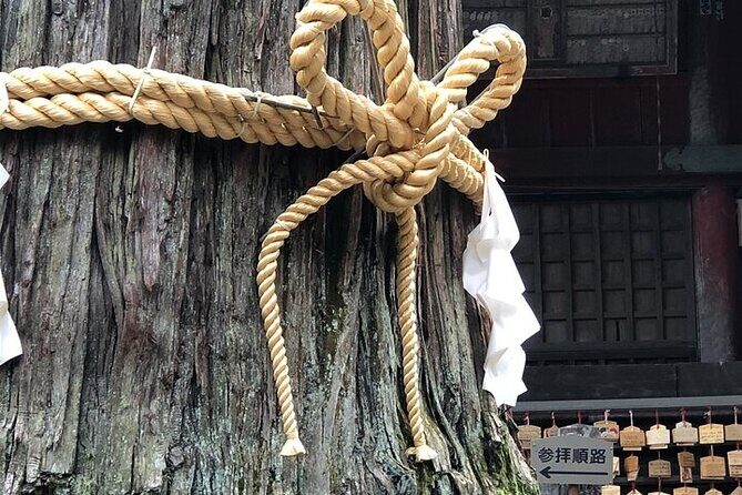 Oshino Hakkai and Kitaguchi Hongu Sengen Shrine Guided Tour-Van - Final Thoughts