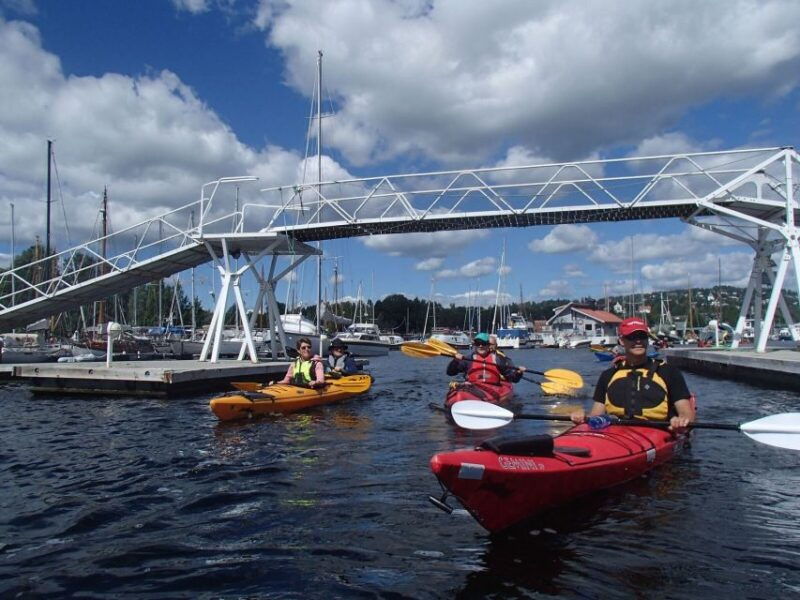oslo-3-hour-kayaking-trip-on-the-oslofjord