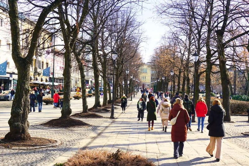 Oslo: City Tour with Traditional Norwegian Lunch or Dinner - Authentic Reviews and Experiences