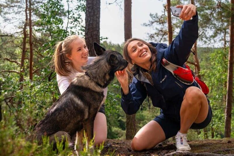 Oslo: Forest Hike with Guide & Husky - What to Expect on the Forest Hike with Husky
