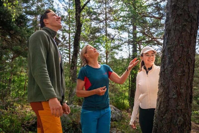 Oslo: Forest Hike with Guide & Husky - Why This Tour Stands Out