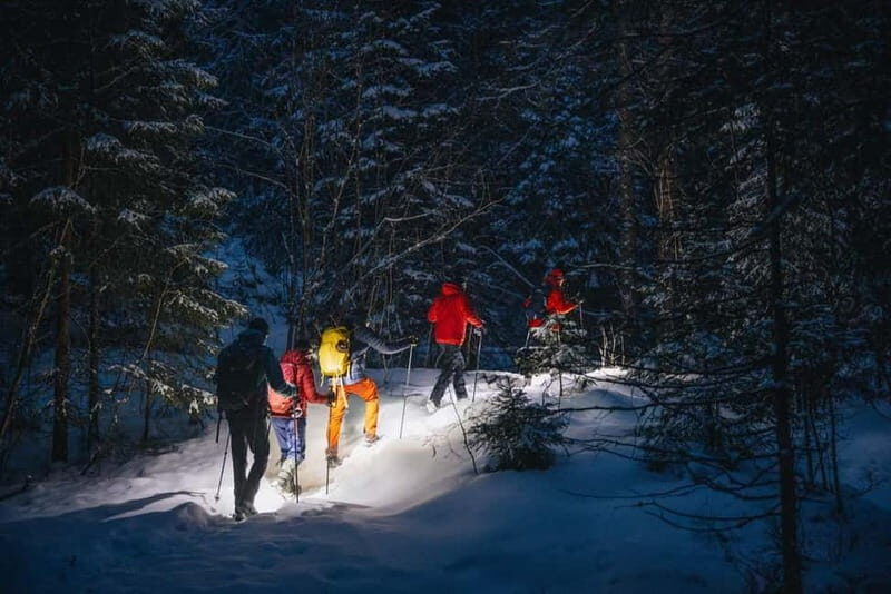 Oslo Forest: Mystery Nocturne Walk with Headlamps - Oslo Forest: Mystery Nocturne Walk with Headlamps — A Perfect Night Out in Norway