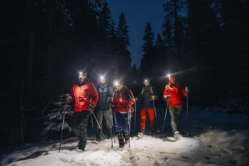Oslo Forest: Mystery Nocturne Walk with Headlamps - Final Thoughts