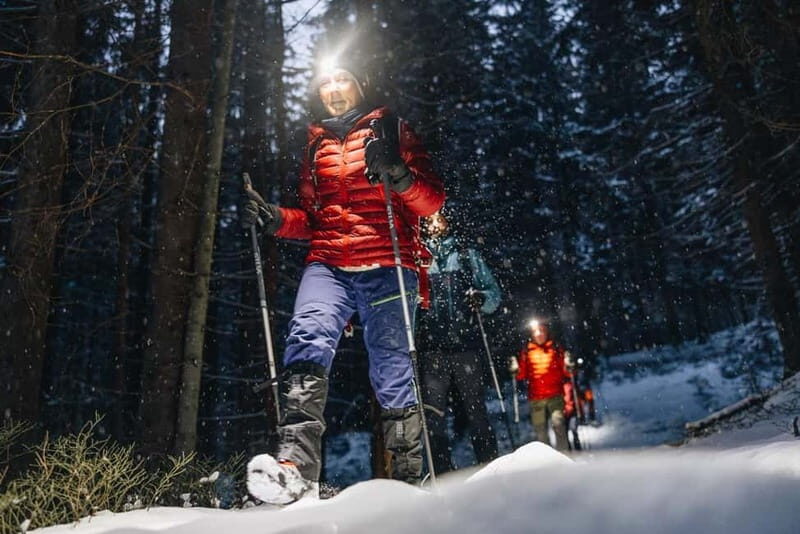 Oslo Forest: Private Mystery Nocturne Walk with Headlamps - Who Will Love This Tour?
