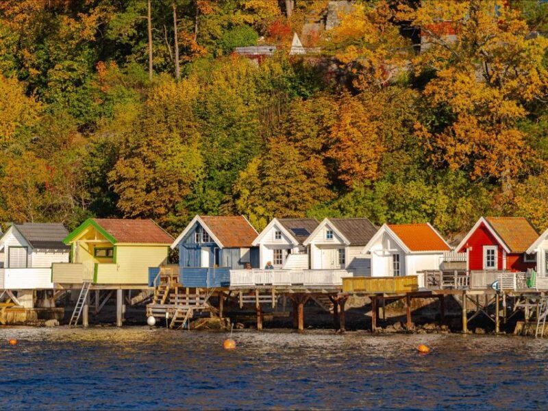 oslo-live-guided-oslofjord-cruise-by-silent-electric-boat