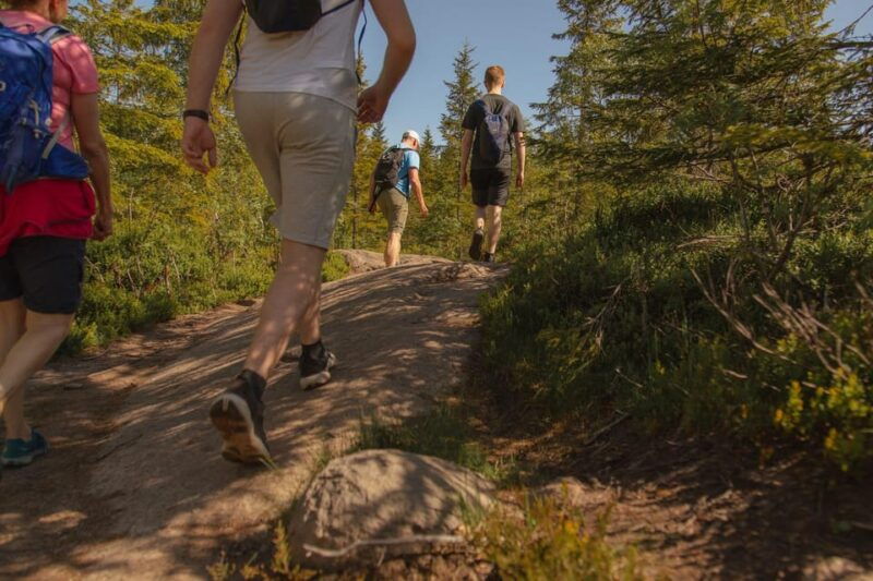 oslo-local-forest-cabin-fresh-pastries-and-lake-swim