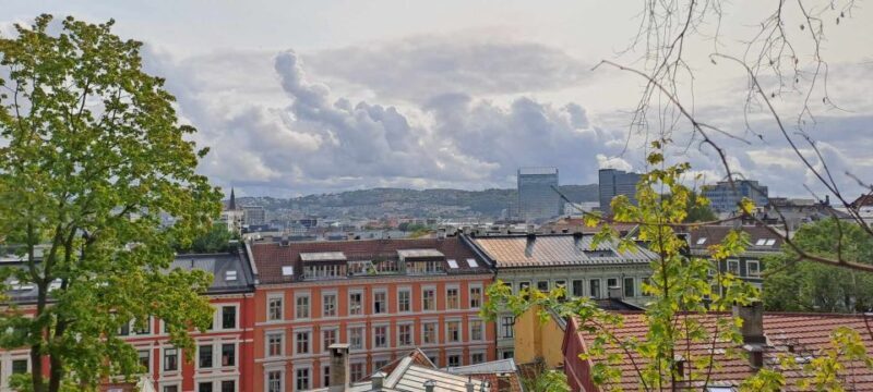 Oslo: Norwegian Food Tour & Hidden Gems City Walk - The Guides and Personal Touch