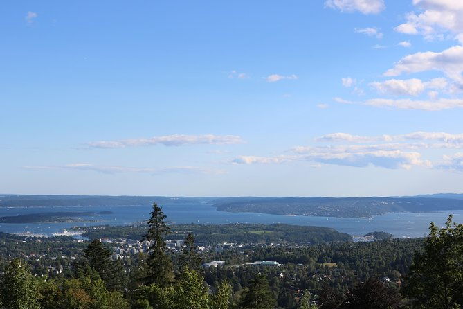 oslo-panorama-tour-with-holmenkollen-ski-jump-and-vigeland-park