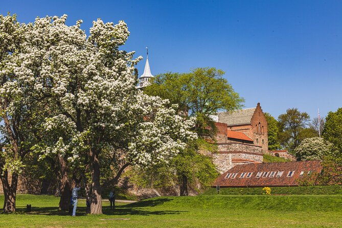 oslo-private-tour-from-the-opera-to-vigeland-sculpture-park