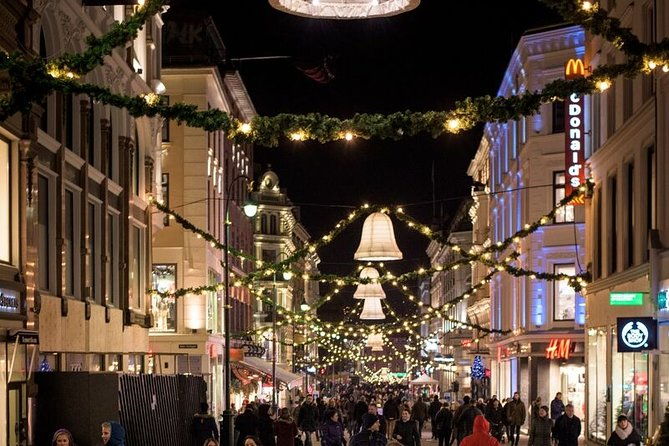 oslo-private-vip-city-tour-by-luxury-minivan-with-driver-guide