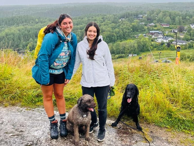 Oslo: Scenic Forest Hike with Dog & Local Guide - Who Will Love This Experience?