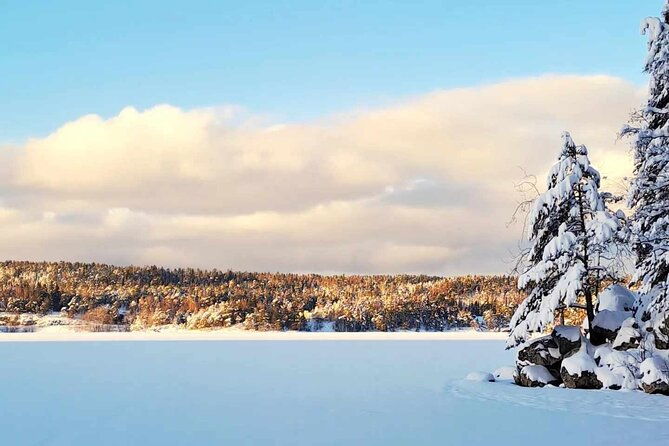 oslo-scenic-hike-with-local-guide-dog-mini-group-adventure