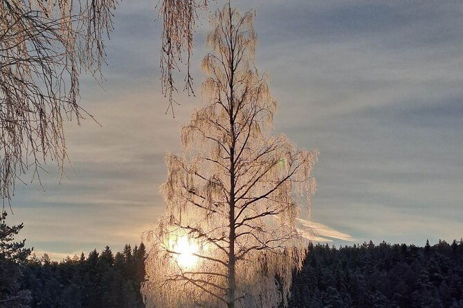 oslo-scenic-hike-with-local-guide-dog-mini-group-adventure