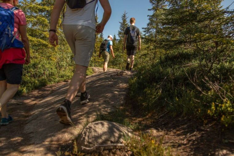 oslo-skjennungstoppen-wildlife-forest-hiking-tour