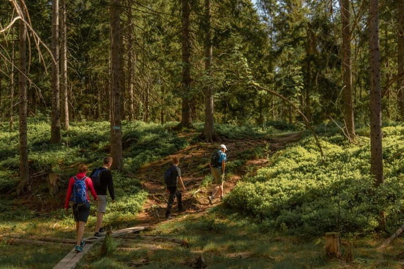 Oslo: The Magical Norwegian Woods Tour - What Makes This Tour Stand Out?  
