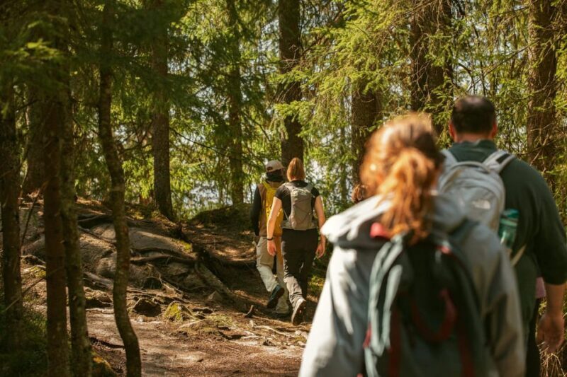 Oslo: The Spectacular Holmenkollen Walk - A Detailed Look at the Holmenkollen Walk