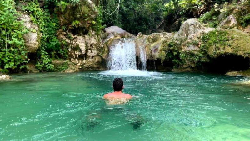 oslob-whale-shark-adventure-inambakan-falls-exploration