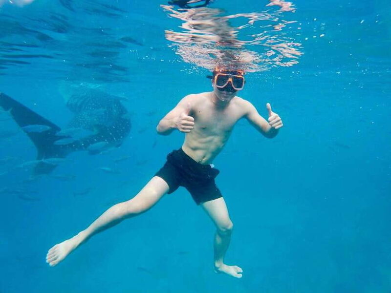 Oslob Whale Shark Direct - An In-Depth Review of the Tour Experience