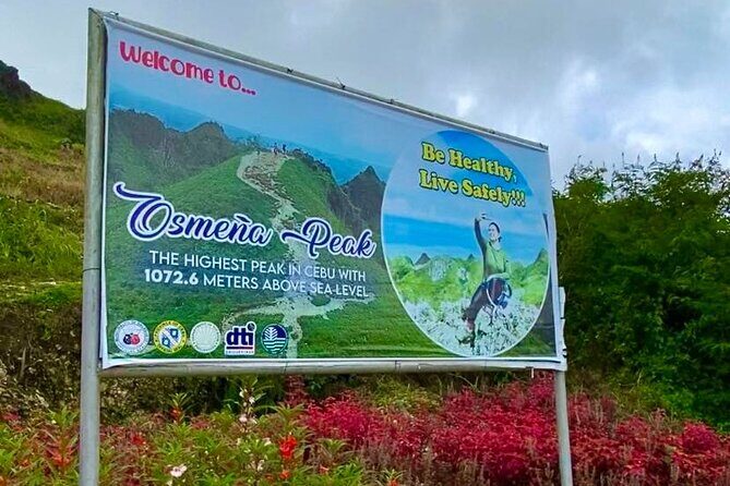 Oslob Whale Shark Snorkeling & Tumalog Falls with Osmeña Peak - What’s Included and What to Consider