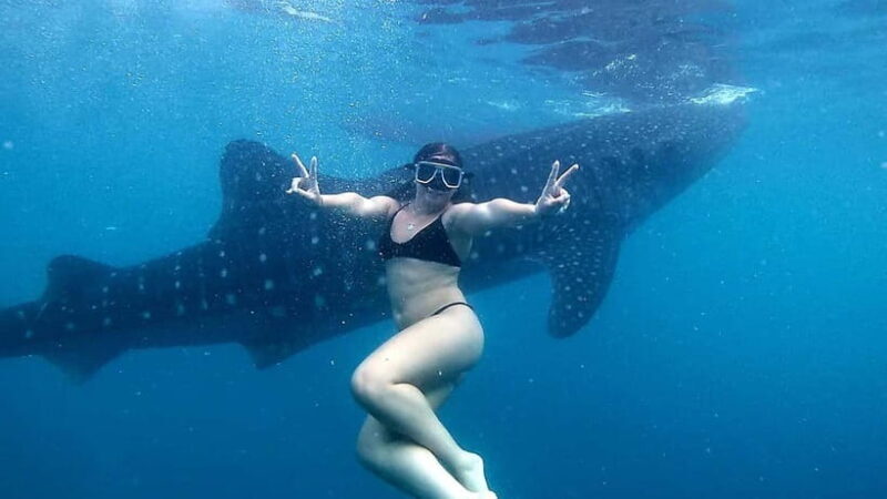 Oslob Whale Shark Swimming & Kawasan Falls Canyoneering - Who Would Love This Tour?