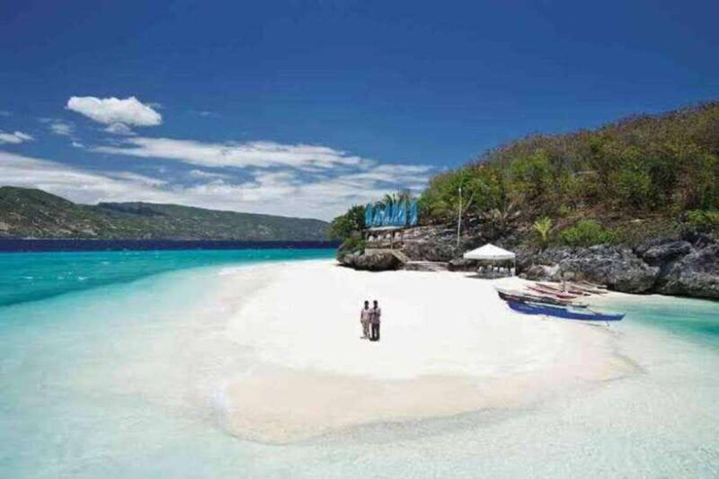 oslob-whale-shark-swimming-tumalog-falls-sumilon-sandbar