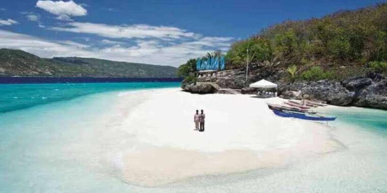 oslob-whale-shark-swimming-tumalog-falls-sumilon-sandbar
