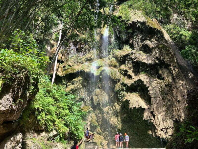 oslob-whale-shark-tumalog-waterfalls-sumilon-sandbar