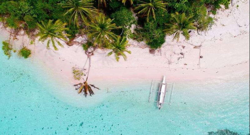 oslob-whale-shark-watching-and-sumilon-island-day-tour