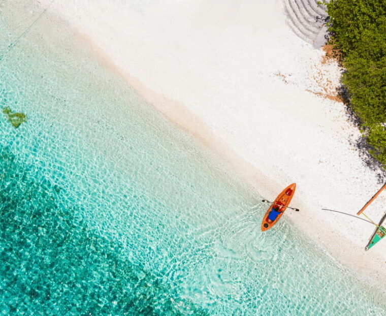 oslob-whale-shark-watching-and-sumilon-island-day-tour
