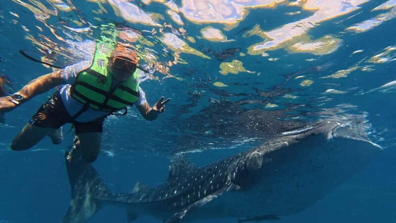 Oslob: Whale Shark Watching Private tour - What’s Included and What’s Not