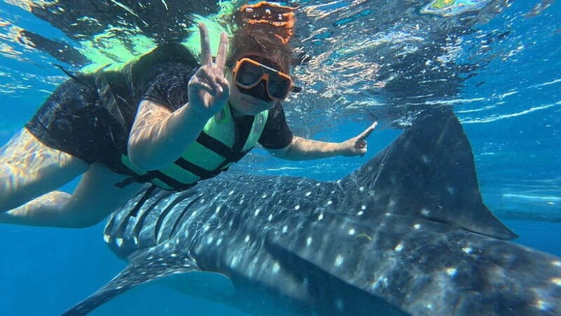 Oslob: Whale Shark Watching Private tour - Practical Tips for the Tour