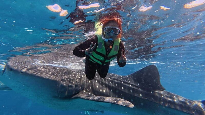 Oslob: Whale Shark Watching Private tour - Who Should Consider This Tour?