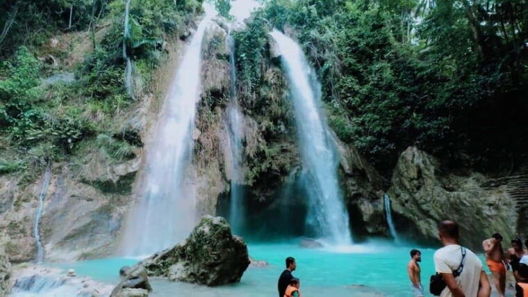 oslob-whale-sharks-inambakan-falls-moalboal-sardines