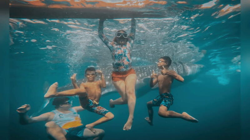 oslob-whale-sharks-tumalog-falls-sumilon-trio-adventure