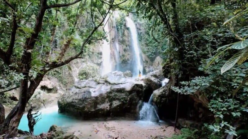 oslob-whaleshark-swimming-inambakan-falls-moalboal-tour