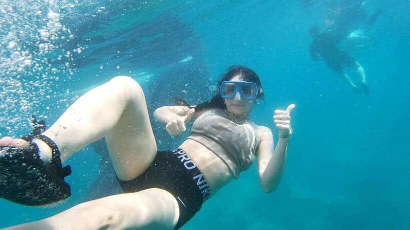 oslob-whaleshark-swimming-tumalog-falls-sumilon-island
