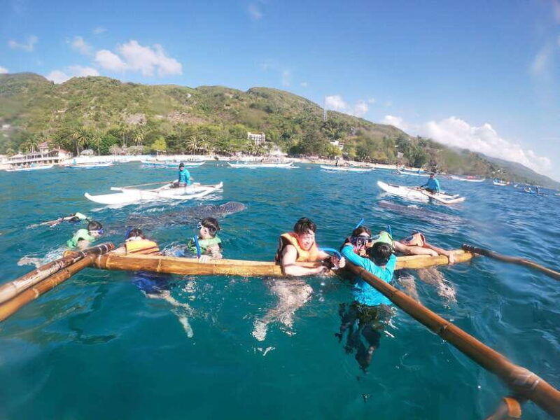 oslob-whaleshark-swimming-tumalog-falls-sumilon-island