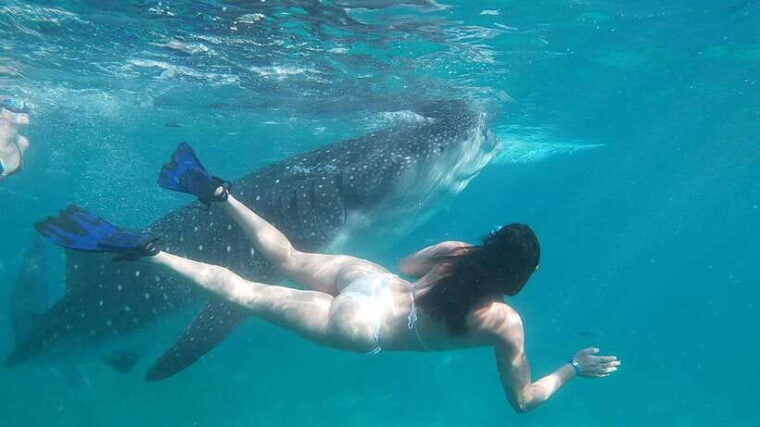 oslob-whaleshark-swimming-tumalog-falls-sumilon-island