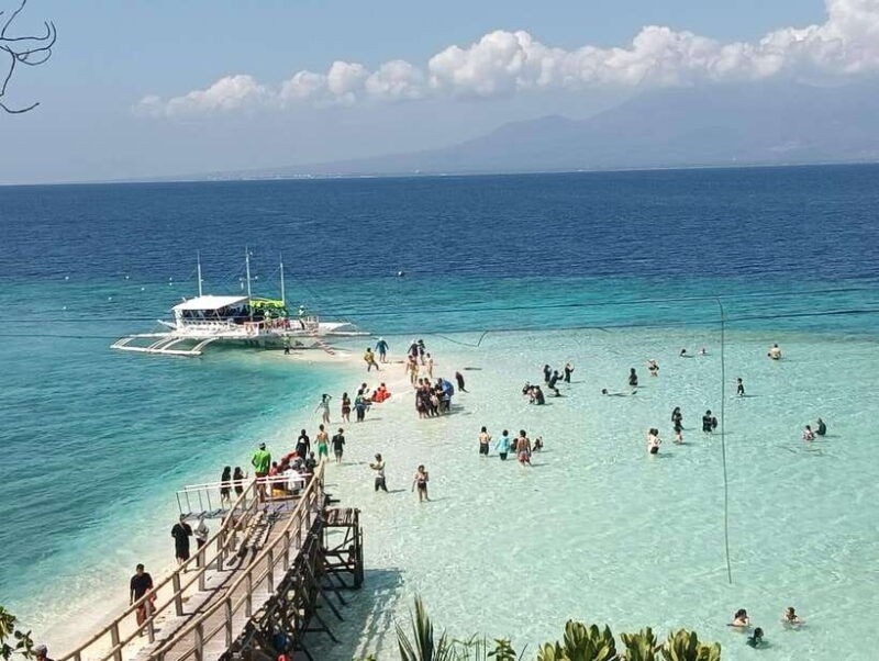 oslob-whaleshark-watching-sumilon-island-monkey-viewing