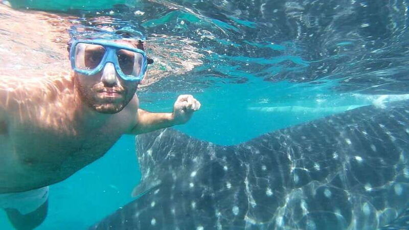 oslob-whaleshark-watching-sumilon-island-monkey-viewing