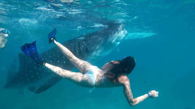 oslob-whaleshark-watching-tumalog-falls-sumilon-island