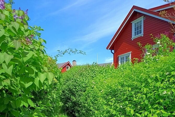oslofjord-island-hopping-tour