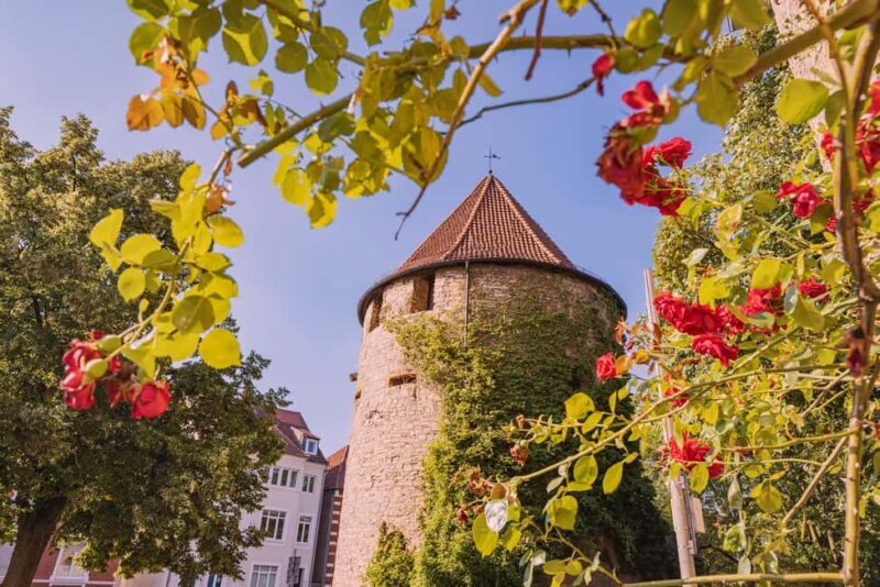 Osnabrück: 2-Hour Introductory Walking Tour with a Local - Final Thoughts