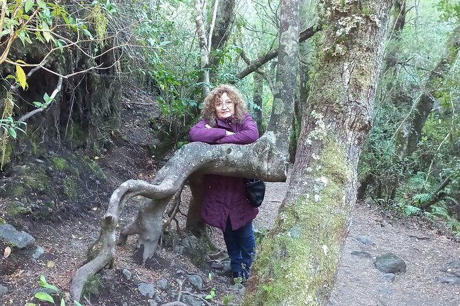 osorno-volcano-tourpetrohue-falls-english