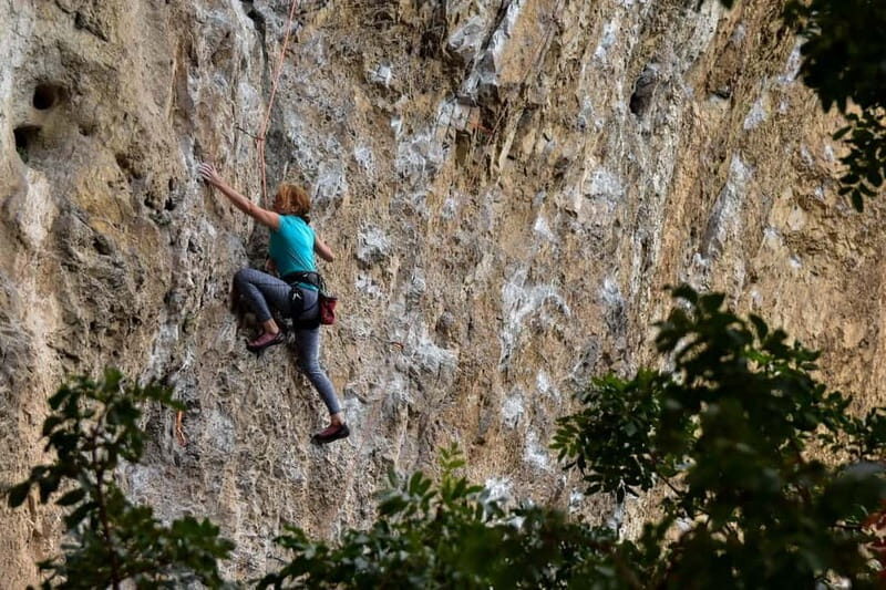Osp: Climbing session with a Guide in Slovenian Istria - Why this experience is worth considering