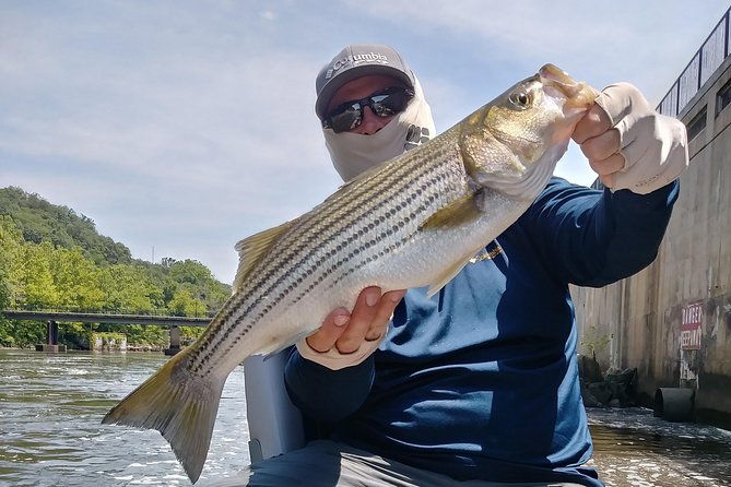 osprey-fishing-charters-potomac-river-fishing
