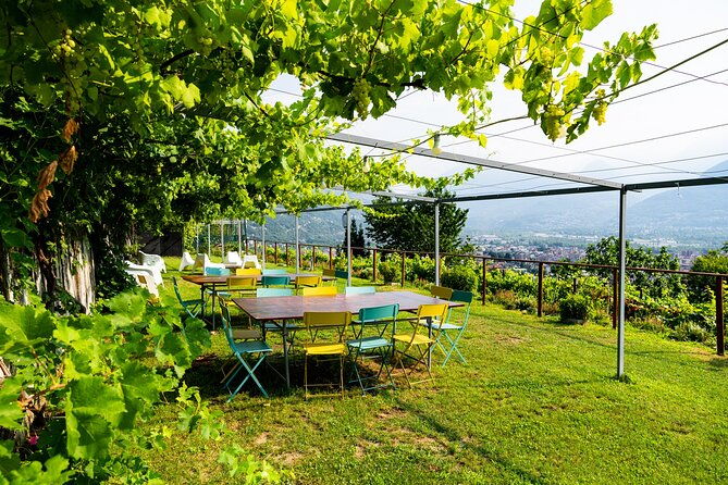 ossola-valley-winery-tour-with-tastings